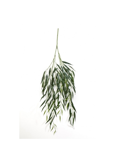 Willow Spray X 130 - 134Cm