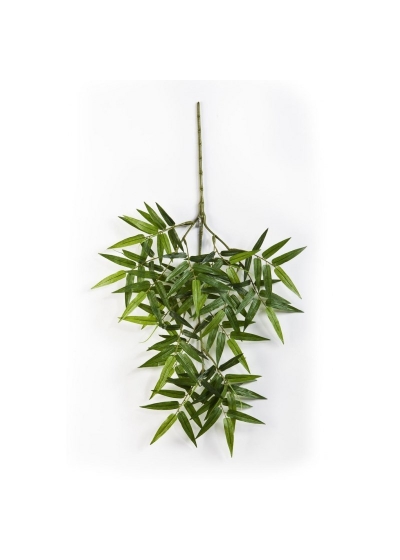 Bambù Oriental Spray - 56Cm