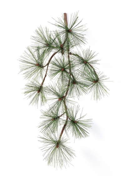Pine Spray X 13 - 67Cm