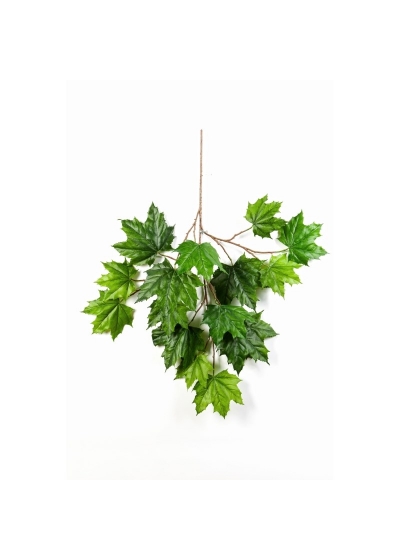 Acero North Spray - 60Cm