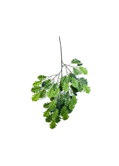 Quercia Spray