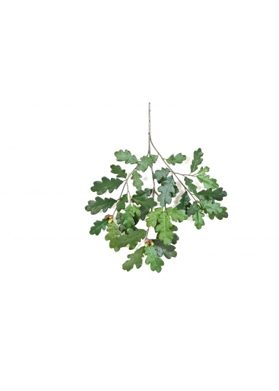 Quercia Common Spray With Fruit - 60Cm