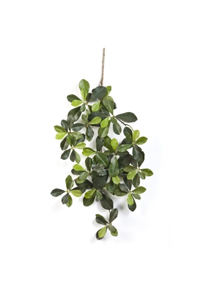 Olivo Oriental Spray - 55Cm