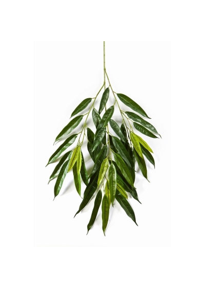 Longifolia Royal Spray - 83Cm