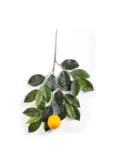 Orange Spray With Large Fru