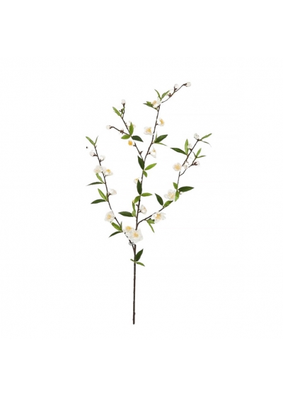 Cherry Blossom Spray Crema - 64Cm