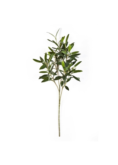 Olivo Natural Spray - 50Cm
