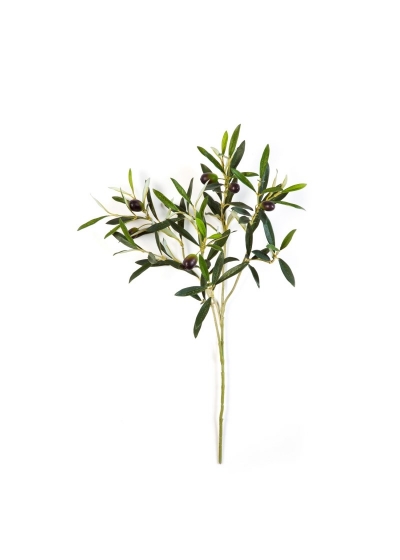 Olivo Natural Spray W/Fruit - 50Cm