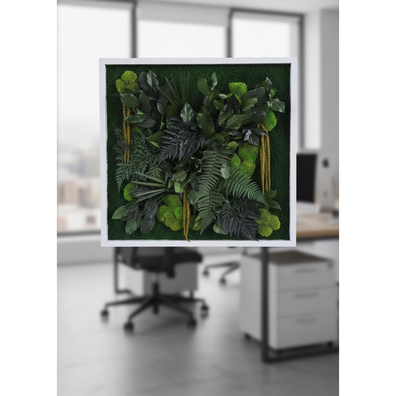 Quadro Vegetale Stabilizzato Mod. Cornice Bianca (50x50cm)