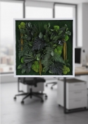 Quadro Vegetale Stabilizzato Mod. Cornice Bianca (50x50cm)