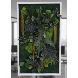 Quadro Vegetale Stabilizzato Mod. Cornice Bianca (100x50)