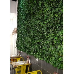 LICHEN WALL Panels from 75x75m Different Colors 