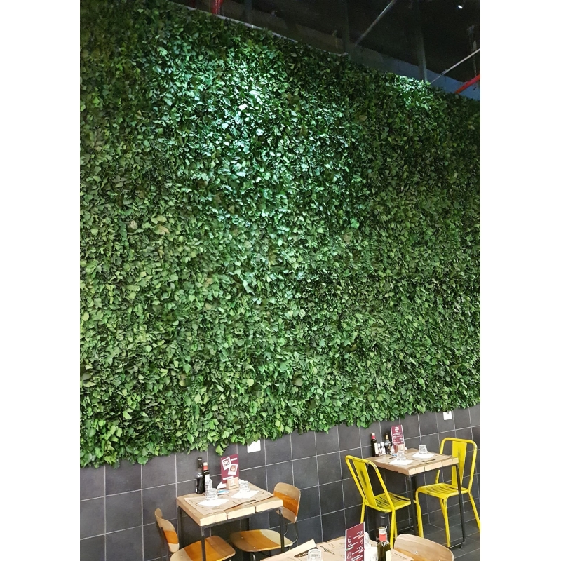 LICHEN WALL Panels from 75x75m Different Colors 