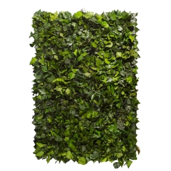 LICHEN WALL Panels from 75x75m Different Colors 