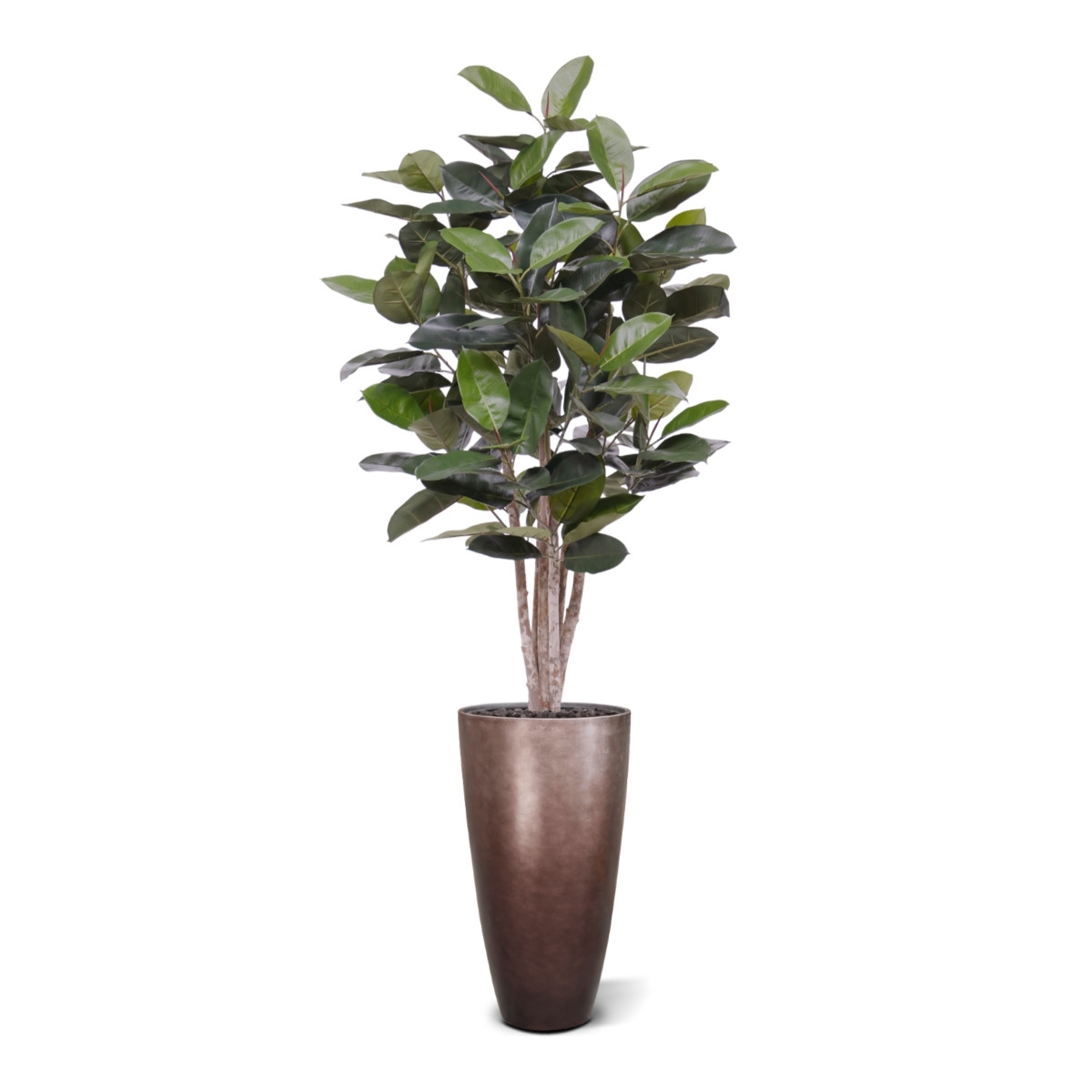 Albero artificiale Elastica Robusta 170cm verde