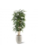 Albero di bambù artificiale 180 cm