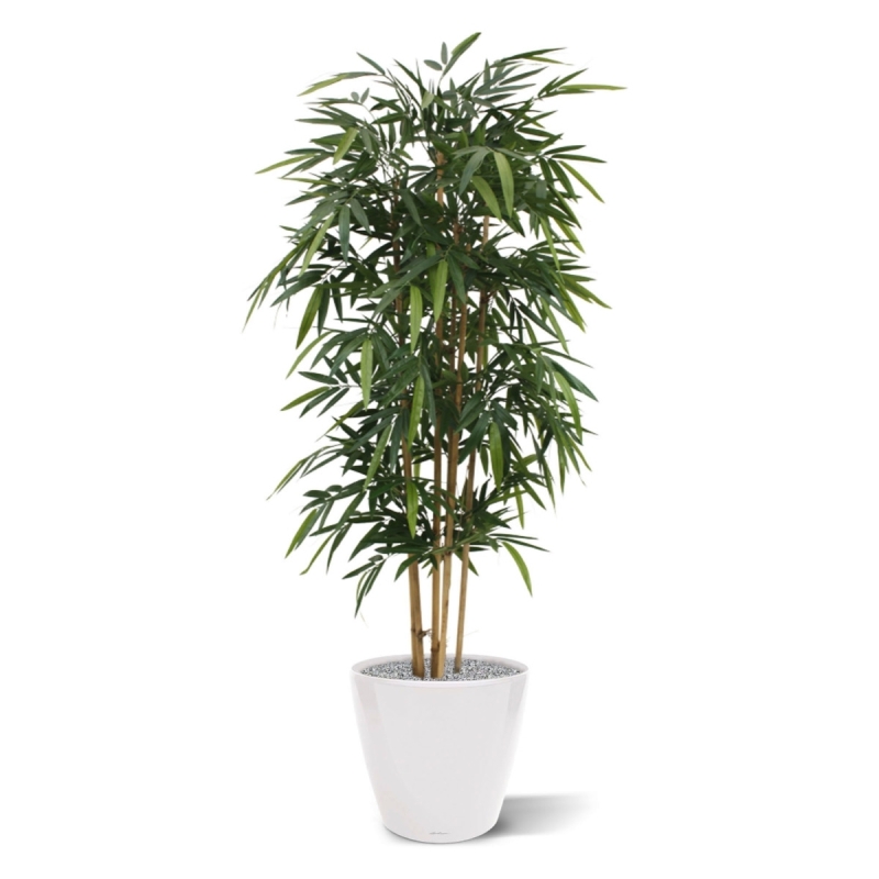 Albero di bambù artificiale 180 cm