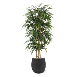 Albero di bambù artificiale 180 cm