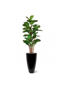 Albero artificiale Lyrata deluxe 165 cm