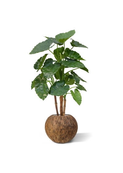 Alocasia Calidora deluxe pianta artificiale 125 cm
