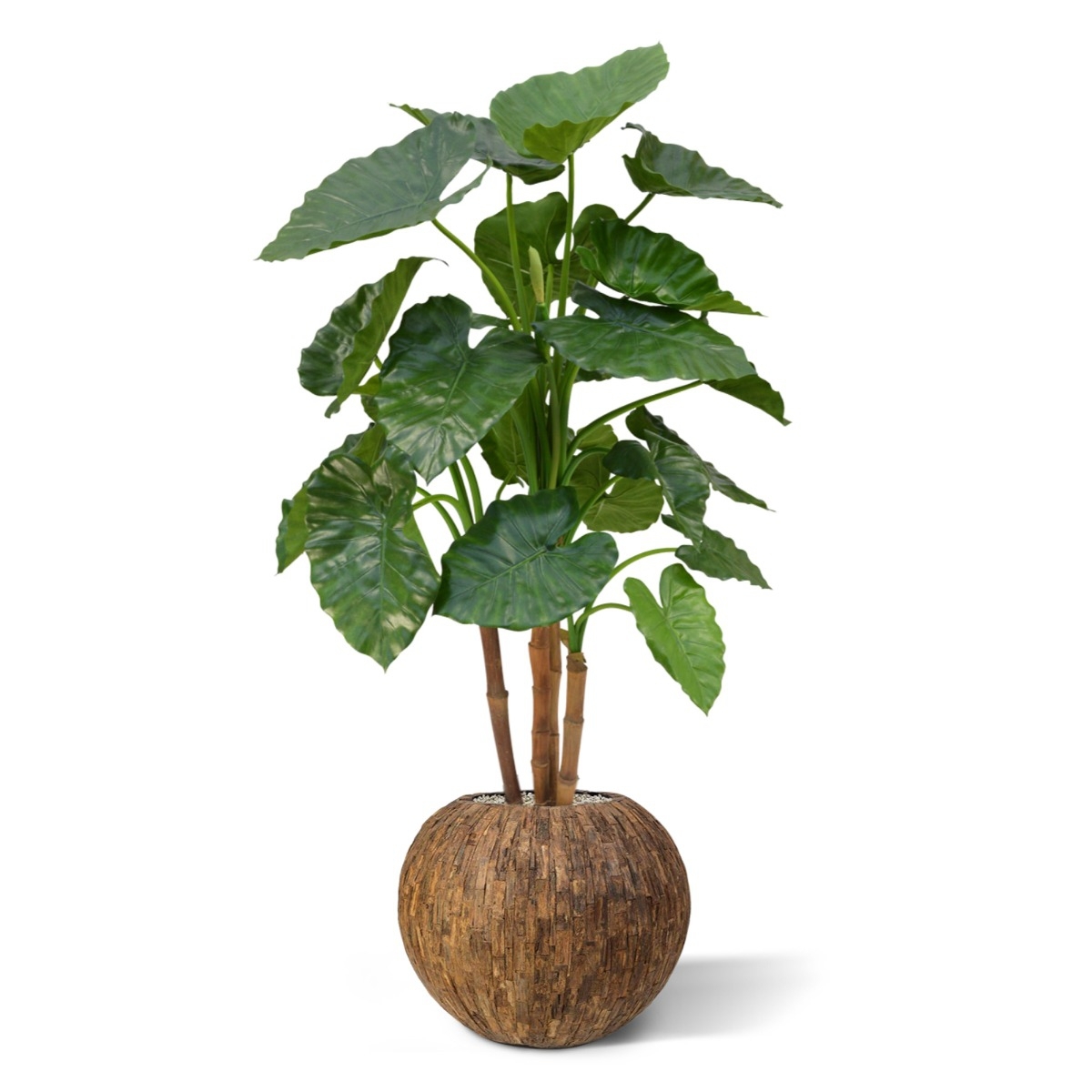 Alocasia Calidora deluxe pianta artificiale 125 cm
