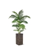Palma artificiale Areca promo 160cm