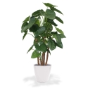 Alocasia Calidora deluxe pianta artificiale 165 cm