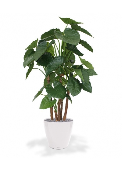 Alocasia Calidora deluxe pianta artificiale 165 cm