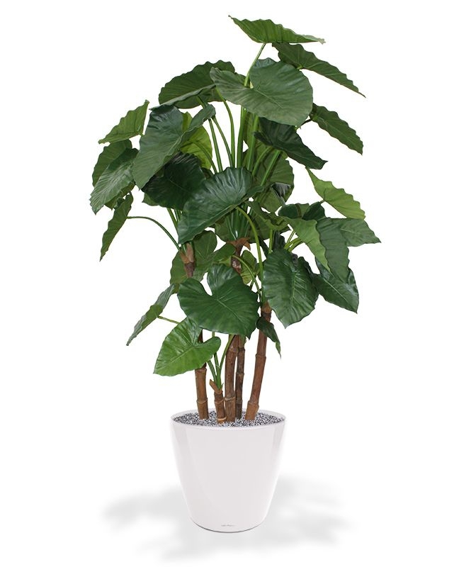 Alocasia Calidora deluxe pianta artificiale 165 cm