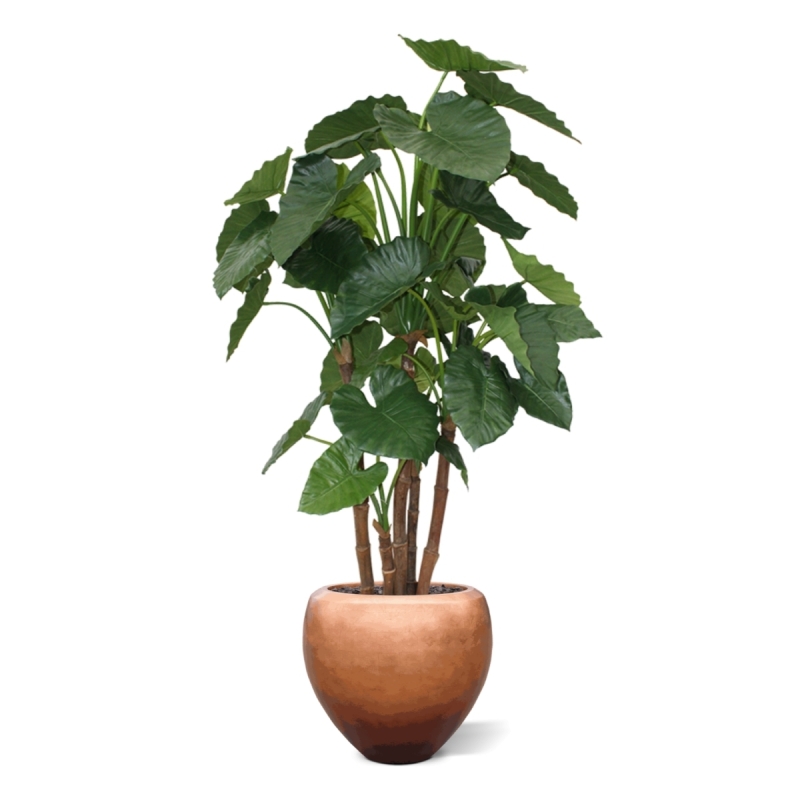 Alocasia Calidora deluxe pianta artificiale 165 cm