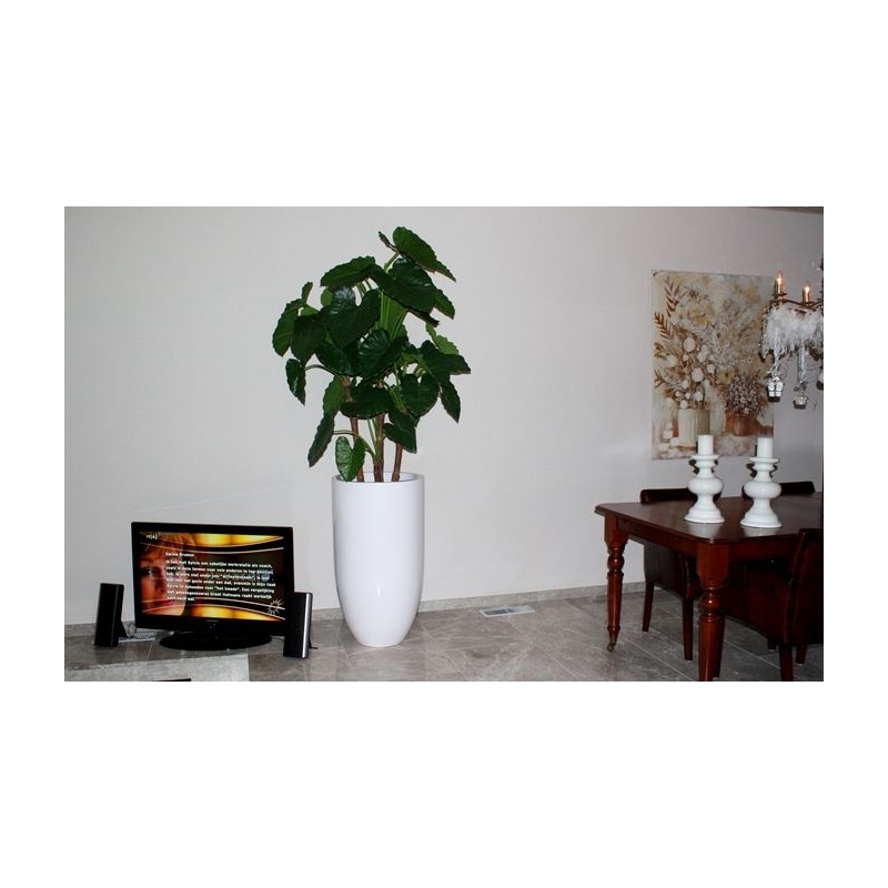 Alocasia Calidora deluxe pianta artificiale 165 cm