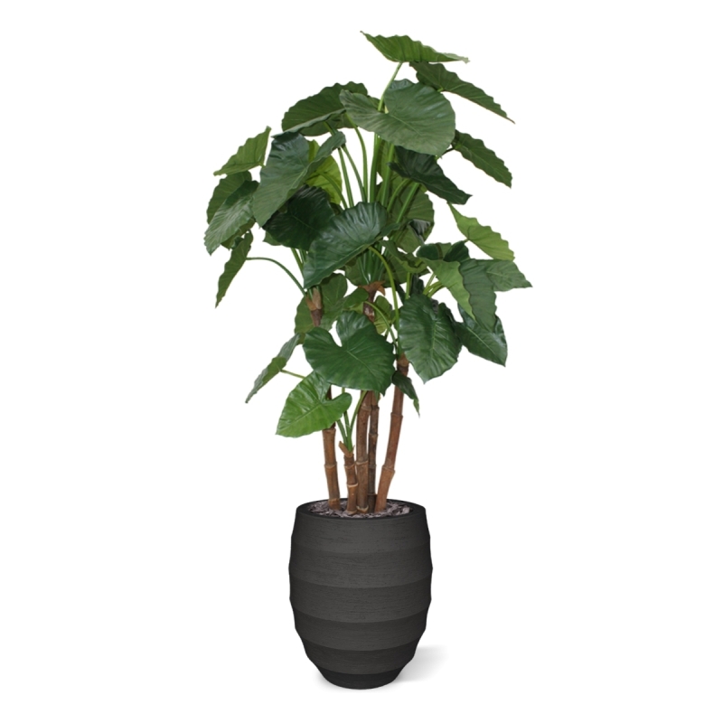 Alocasia Calidora deluxe pianta artificiale 165 cm