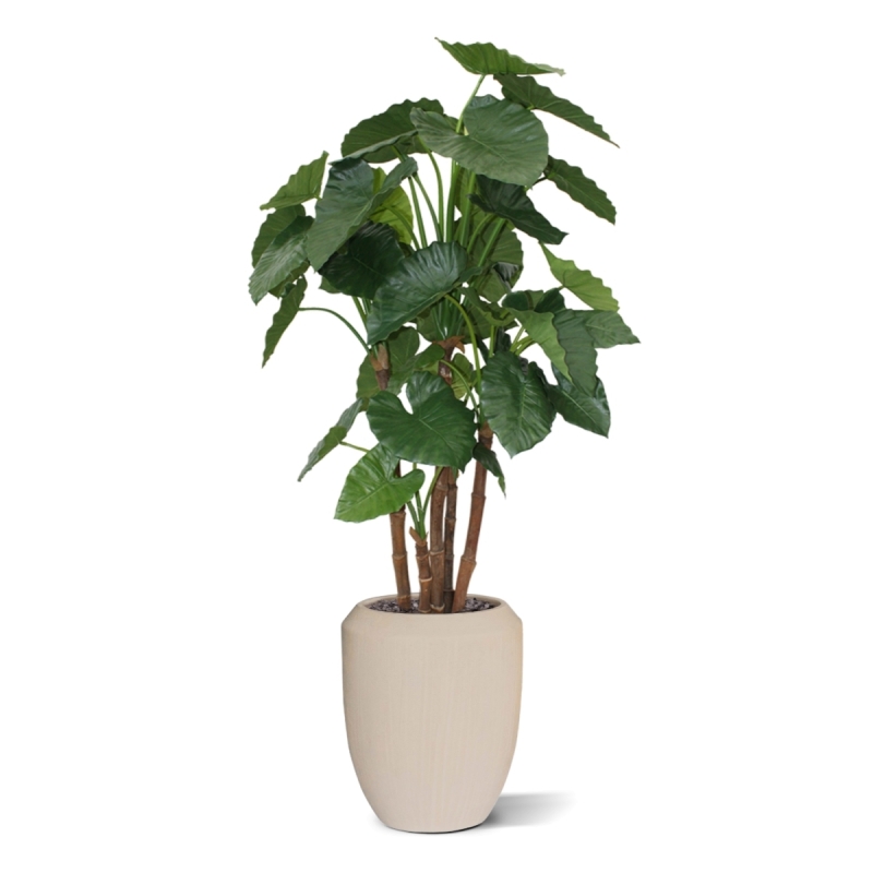 Alocasia Calidora deluxe pianta artificiale 165 cm