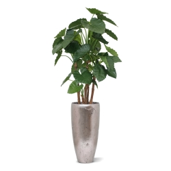 Alocasia Calidora deluxe pianta artificiale 165 cm