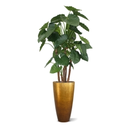 Alocasia Calidora deluxe pianta artificiale 165 cm