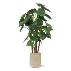 Alocasia Calidora deluxe pianta artificiale 165 cm