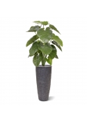 Alocasia Calidora pianta artificiale 115cm