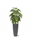 Alocasia Calidora pianta artificiale 115cm