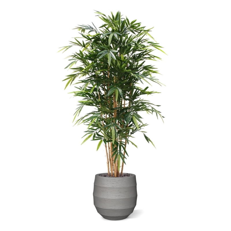 Bambù artificiale Deluxe 180 cm