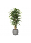 Bambù artificiale Deluxe 180 cm