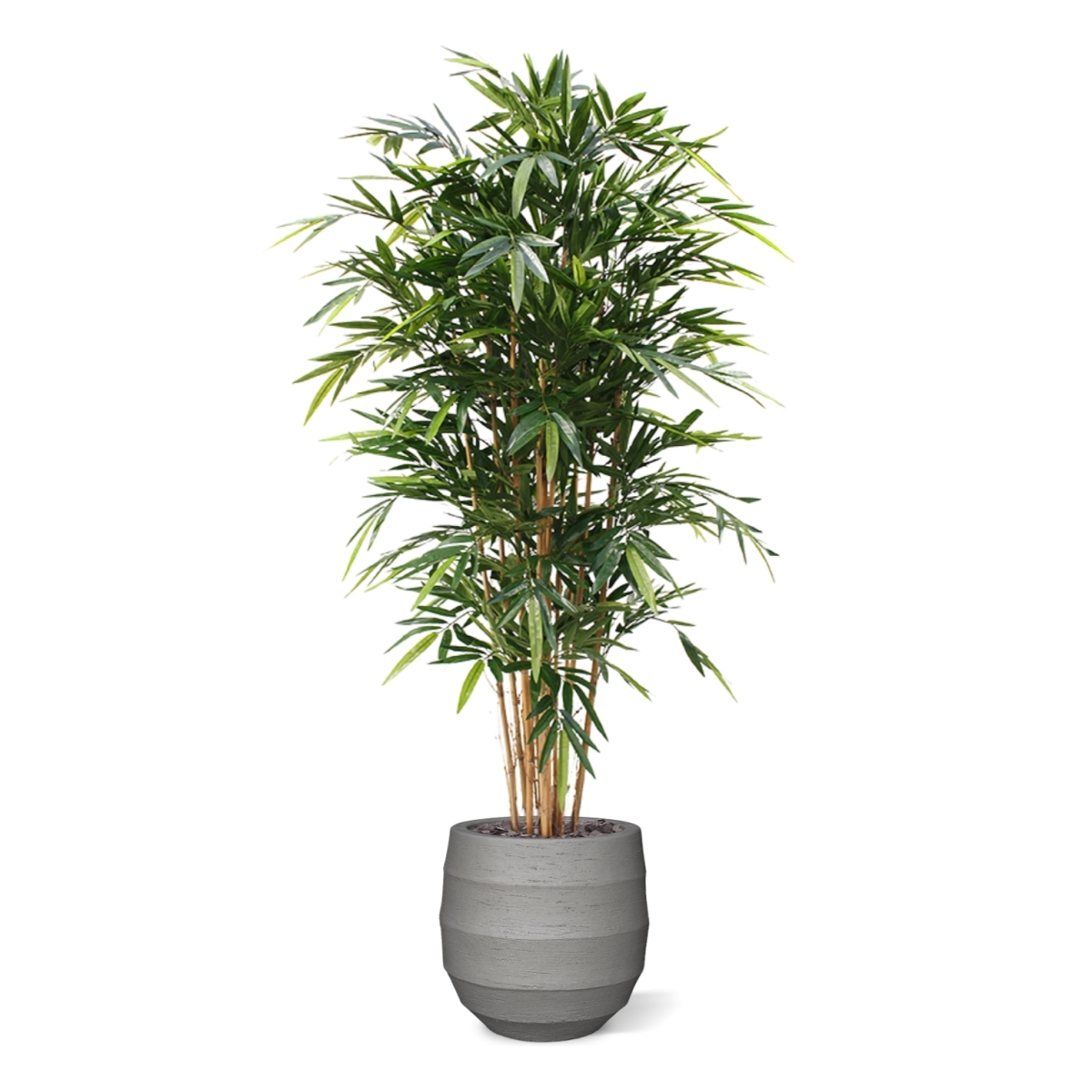 Bambù artificiale Deluxe 180 cm