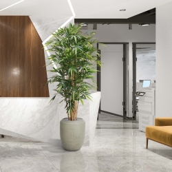 Bambù artificiale Deluxe 180 cm