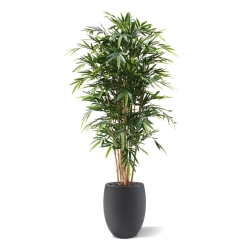 Bambù artificiale Deluxe 180 cm