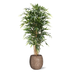 Bambù artificiale Deluxe 180 cm