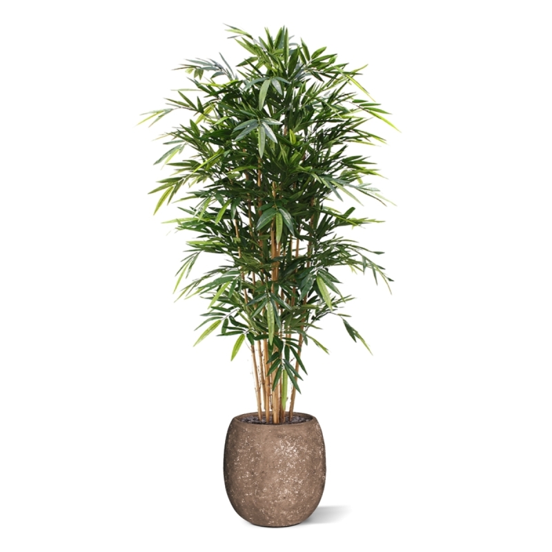 Bambù artificiale Deluxe 180 cm
