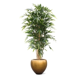 Bambù artificiale Deluxe 180 cm