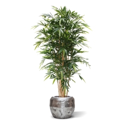 Bambù artificiale Deluxe 180 cm