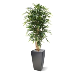 Bambù artificiale Deluxe 180 cm