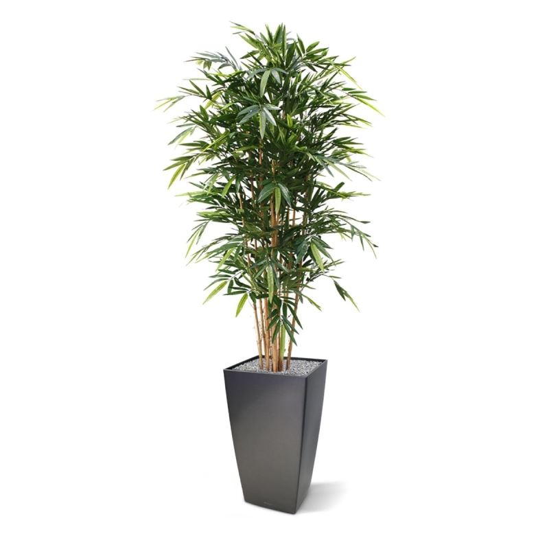 Bambù artificiale Deluxe 180 cm