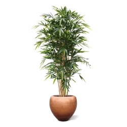 Bambù artificiale Deluxe 180 cm